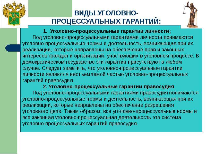 Сущность уголовно правового. Процессуальные гарантии в уголовном процессе. Уголовно-процессуальные гарантии виды. Виды процессуальных гарантий. Уголовно-процессуальные гарантии понятие.