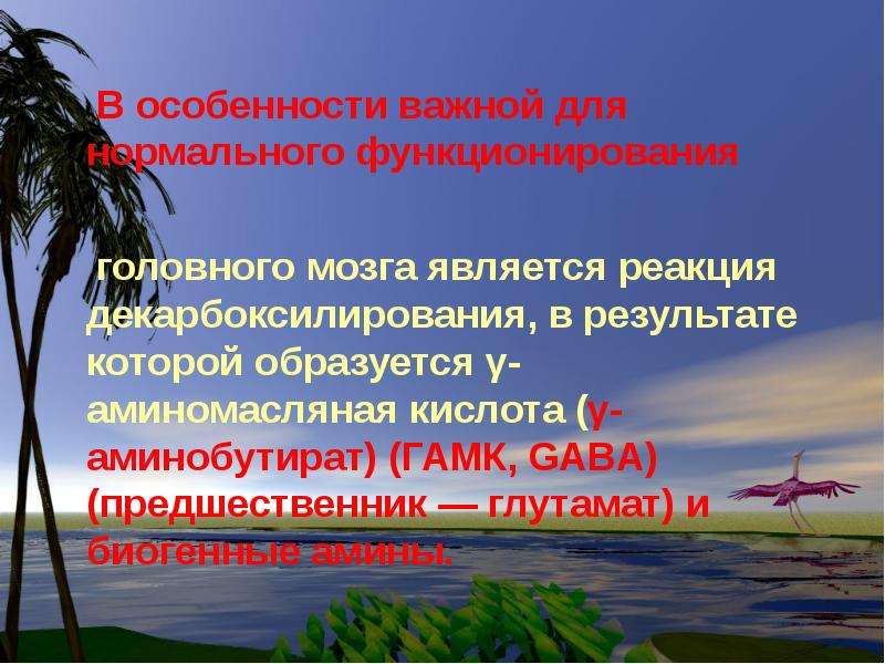 Какими важнейшими особенностями. Глициноксидаза. Глициноксидазой..