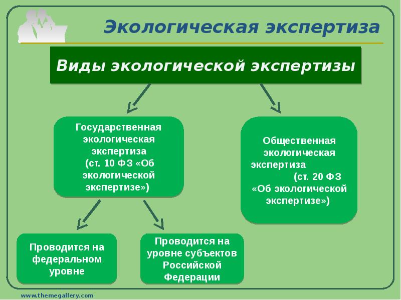 Типы экологических проектов