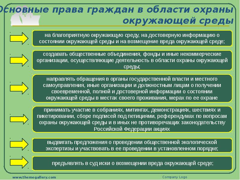 11 класс обществознание экологическое право презентация