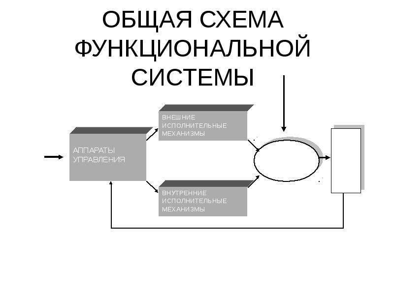 Схема функциональной целостности