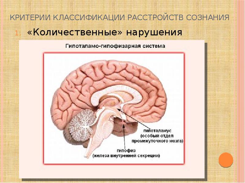 Критерии классификации расстройств сознания «Количественные» нарушения сознания