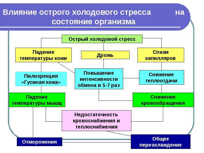 Презентация на тему микроклимат