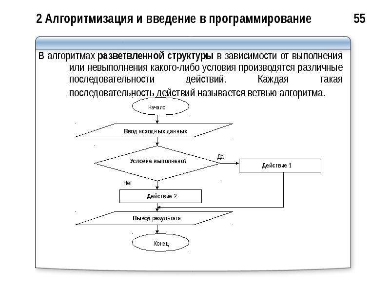 Проект алгоритмизация и программирование