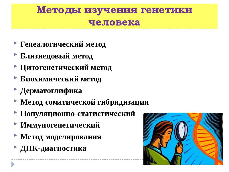 Презентация методы генетики человека 10 класс профильный уровень