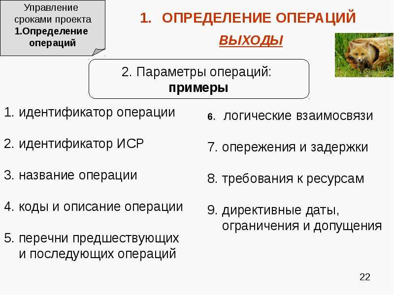 Параметры операции. Операции проекта пример. Управление сроками проекта пример. Перечень операций, параметры операций в проекте. Параметр операции пример.