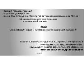 Стерилизация кошек