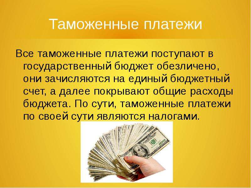 Таможенные пошлины презентация