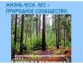 Жизнь леса. Лес – природное сообщество