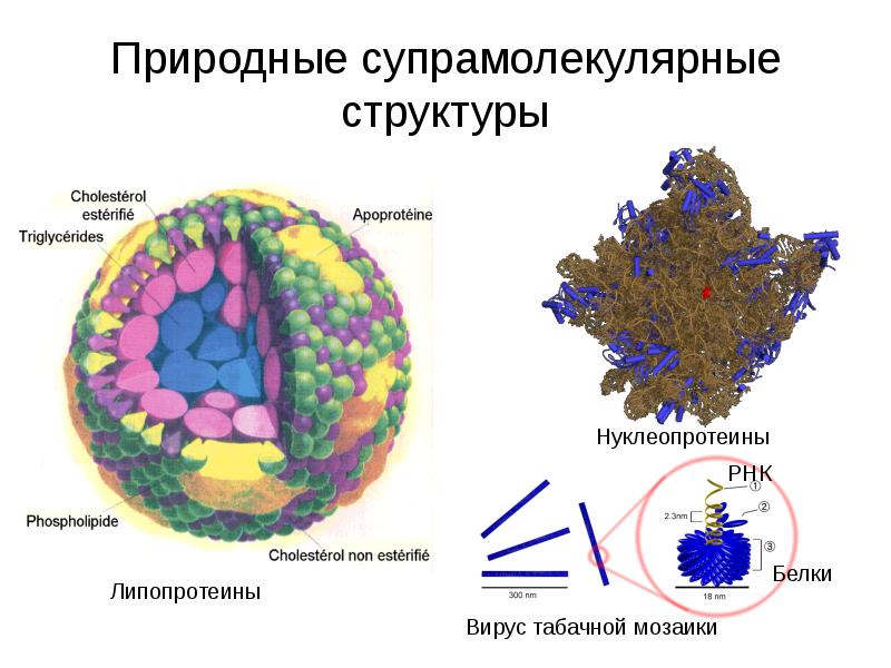 Супрамолекулярные наноструктуры