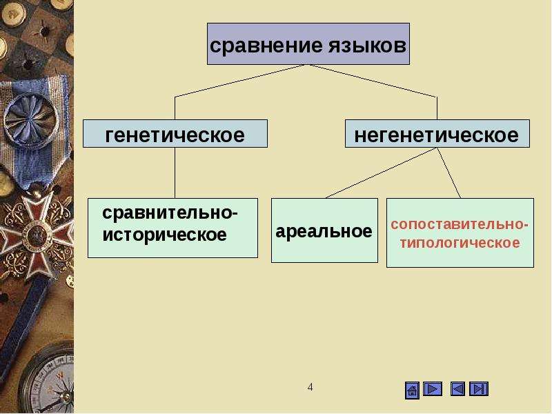 Сравнительная типология английского. Сравнительная типология. Типология частей речи английского и русского языков. Типология английского и русского. Сравнительная типология английского и турецкого языков.