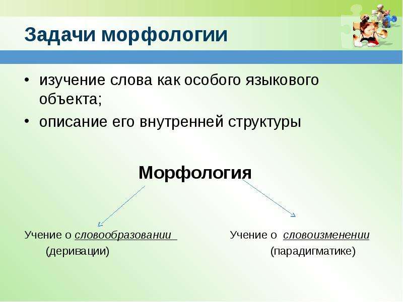 Предмет изучения морфологии