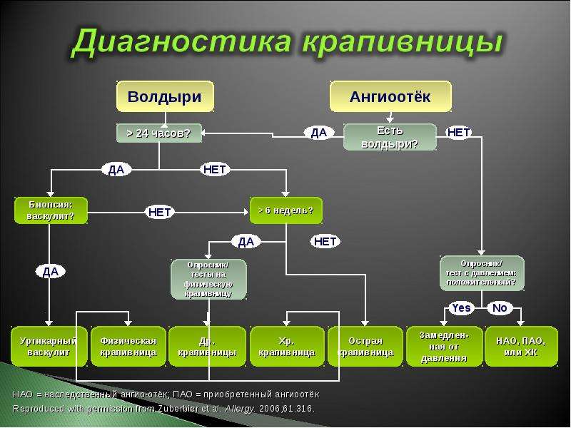 План обследования при крапивнице