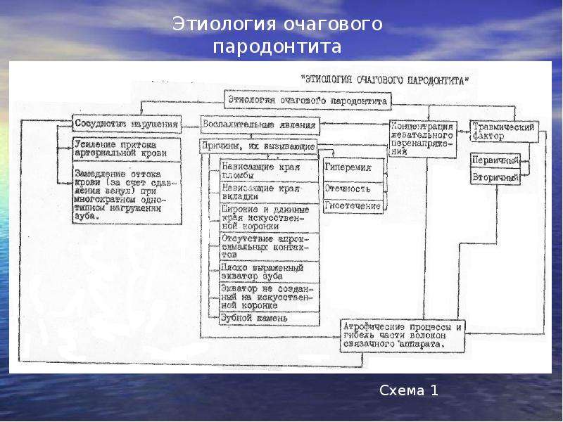 Этиология патогенез клиника заболеваний пародонта презентация