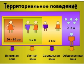 Язык жестов
