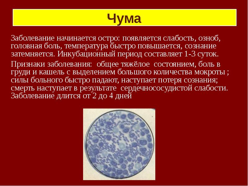 Общее заболевание. Инкубационный период при чуме составляет. Бактериологическое заболевание человека. Инкубационный период при чуме составляет в днях. Бактериологическим заболеванием является.