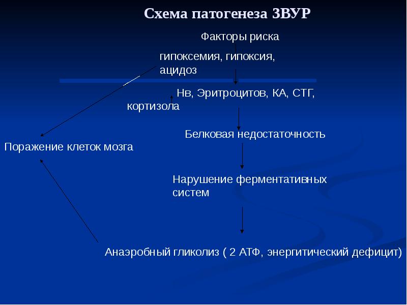 Схема патогенеза внутриутробной инфекции у плода