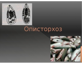 Описторхоз