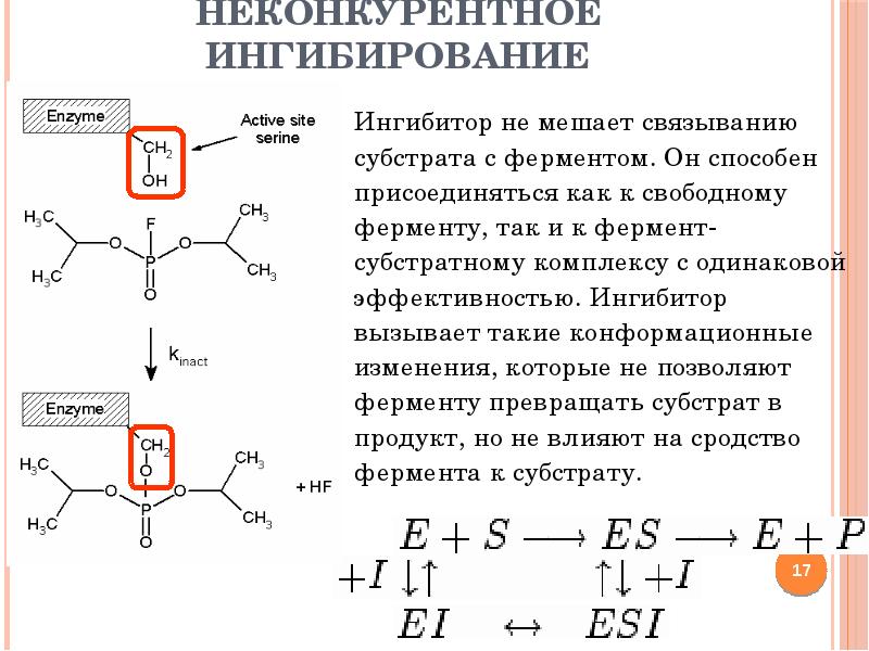 Неконкурентное ингибирование схема