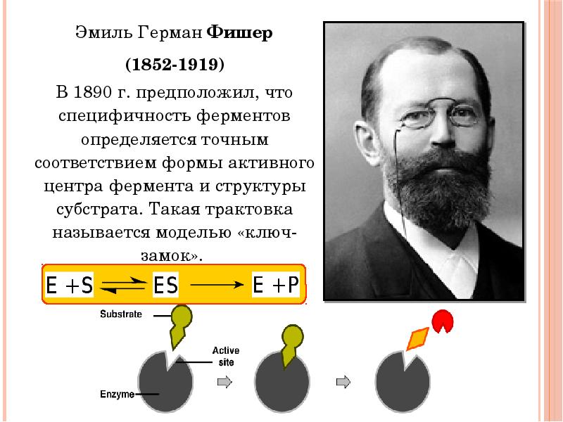 Эмиль герман фишер презентация