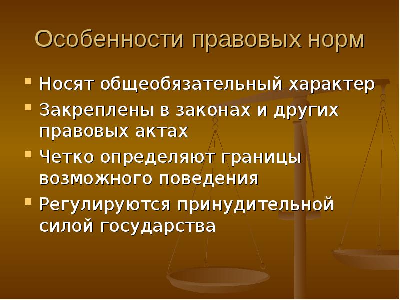 Особенности правовых норм. Характеристики правовой нормы. Специфика юридической нормы. Специфика правовых норм.