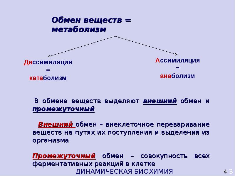 Ассимиляция и диссимиляция метаболизм 9 класс презентация