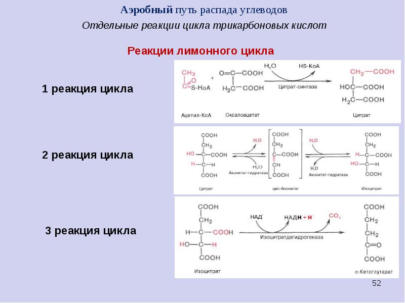 Реакции цикла