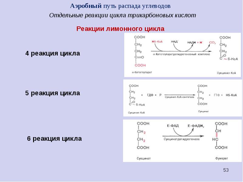 Реакции цикла