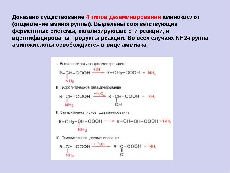 Подтвердить наличие. Отзепление аминокислот. 4 Типа дезаминирования аминокислот. Дезаминирование с отщеплением/аммиака. Процесс отщепления аминогруппы с.