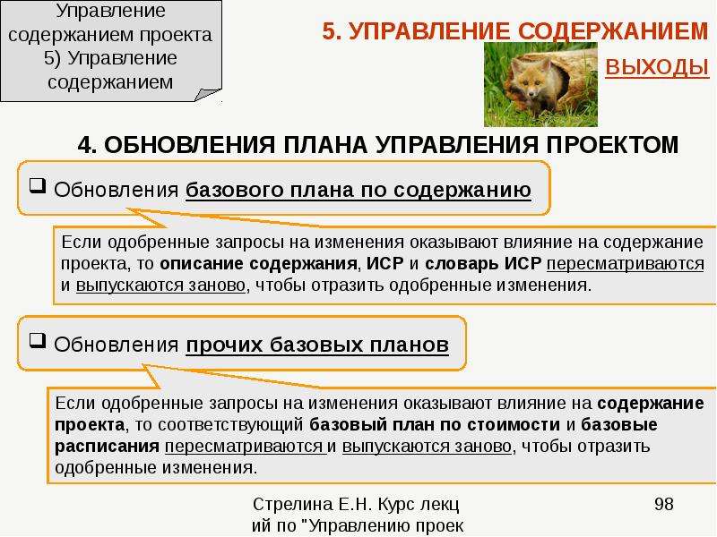 Проект по содержанию