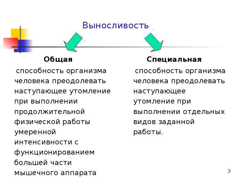 Развитие выносливости проект