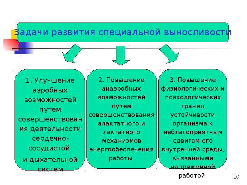 Методика развития выносливости презентация