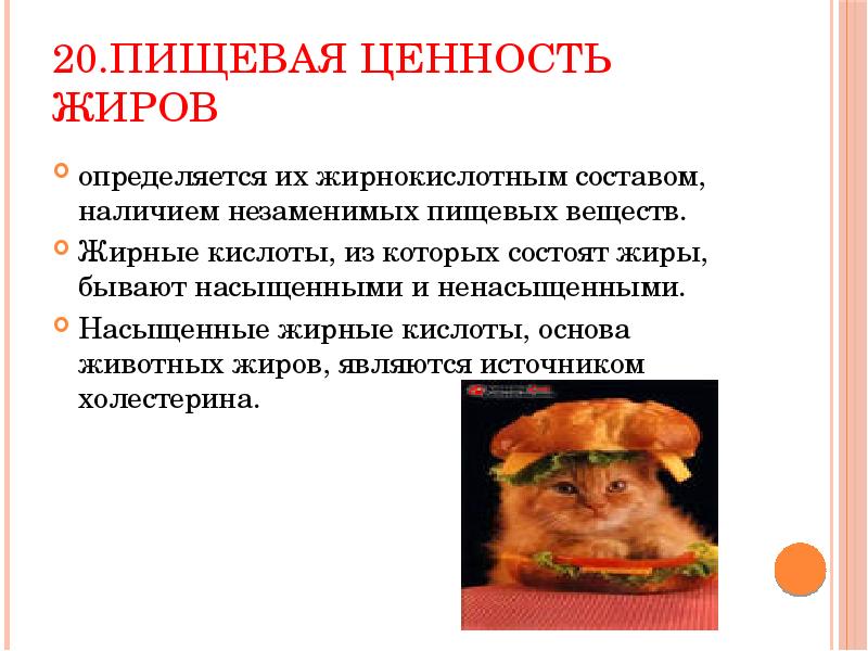 Ценность жиров