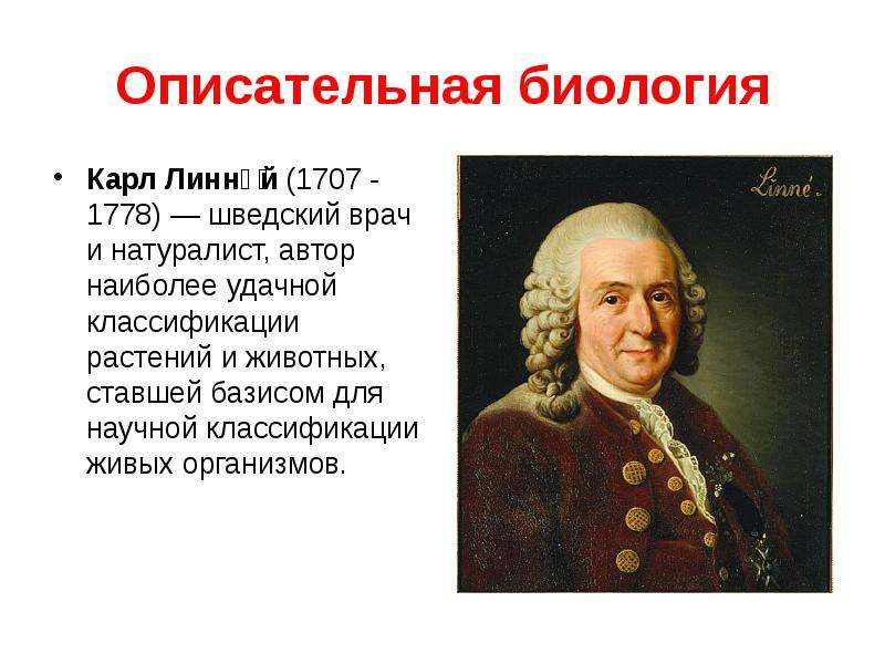 Автор наиболее. Карл Линней (1707-1778 гг.). • Карл Линней (1707-1778), шведский натуралист. Карл Линней биология. Карл Линней классификация живых организмов.