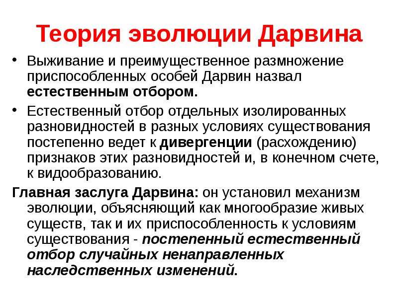 Теория 24. Теория эволюции Дарвина кратко. Чарльз Дарвин теория эволюции кратко. Учение Чарльза Дарвина кратко. Теория Чарльза Дарвина кратко.