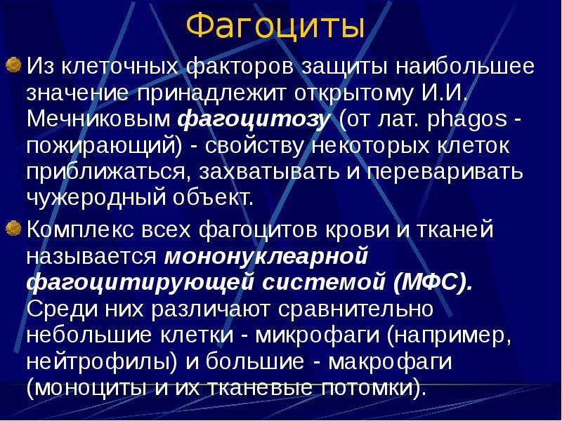 Принадлежать значение. Фагоциты. Функции фагоцитов. Виды фагоцитов. Фагоциты крови.