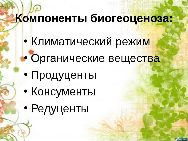 Презентация биогеоценозы 10 класс