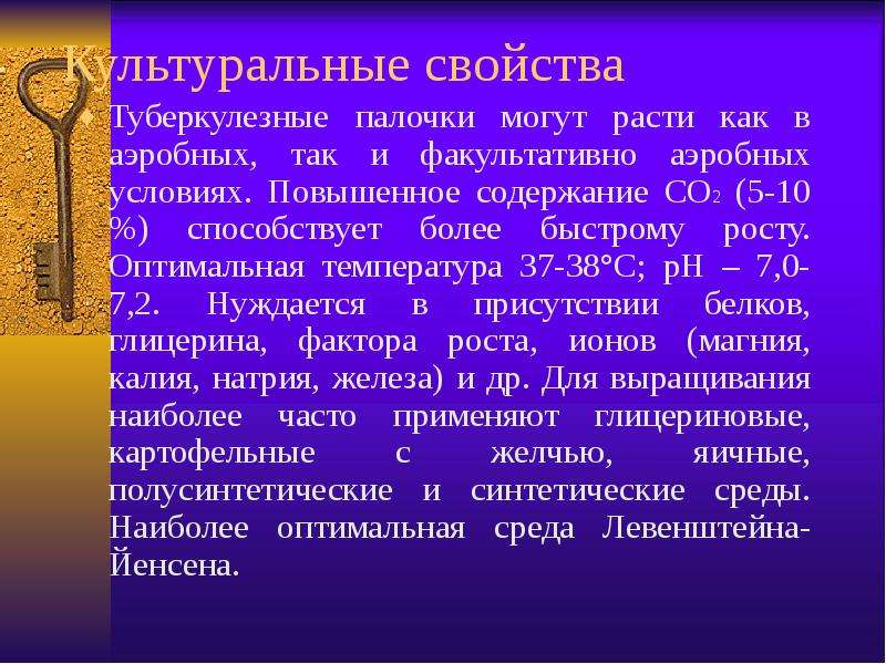 Туберкулезную палочку относят к. Культуральные свойства туберкулезной палочки. Туберкулезная палочка культуральные свойства. Палочки туберкулеза характеристики. Туберкулёзная палочка характеристика.