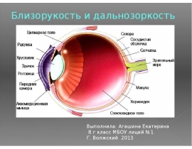 Близорукость и дальнозоркость
