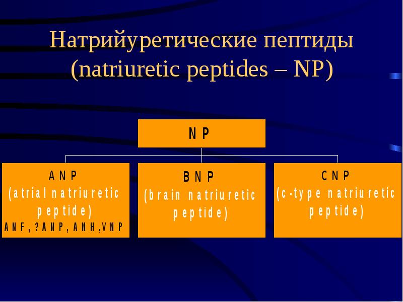 Натрийуретические пептиды (natriuretic peptides – NP)