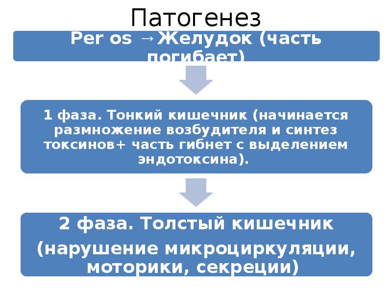 Патогенез амебиаза