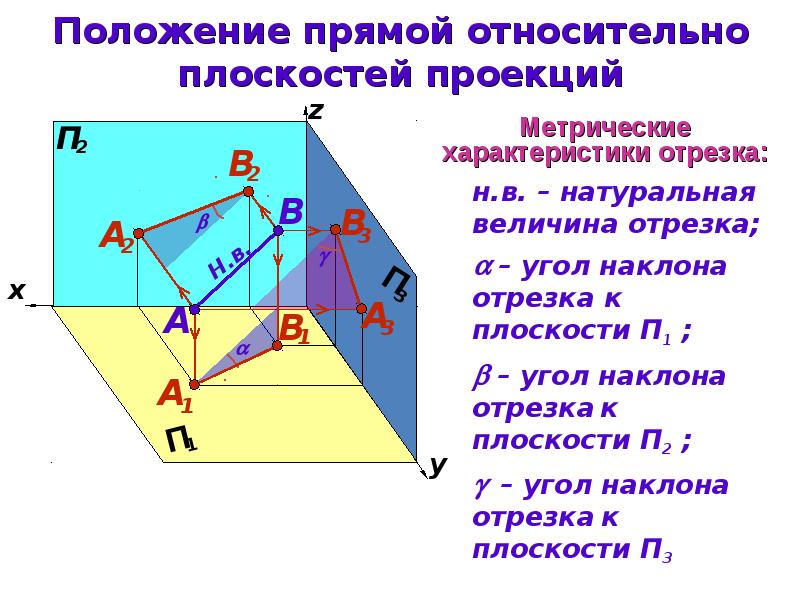 Проекции проецирующих прямых. Положение прямой относительно плоскостей проекций. Положение прямой относительно плоскости. Положение плоскости относительно плоскостей проекций. Положение точек относительно плоскостей проекций.