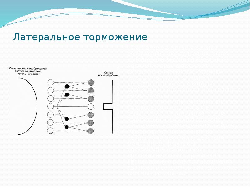 Латеральное торможение схема