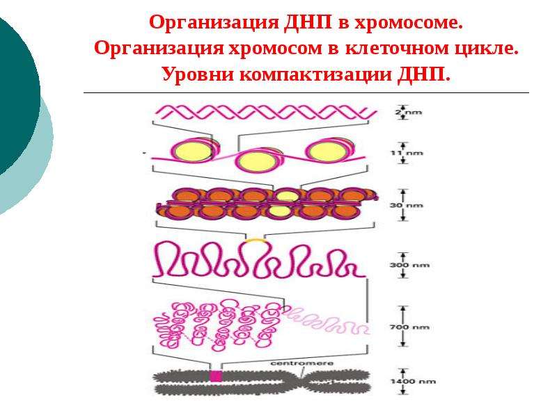 Поток информации фото