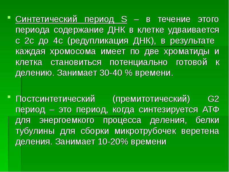 Синтетический период. Синтетический период это период. Синтетический период клетки. Содержание в клетке ДНК.