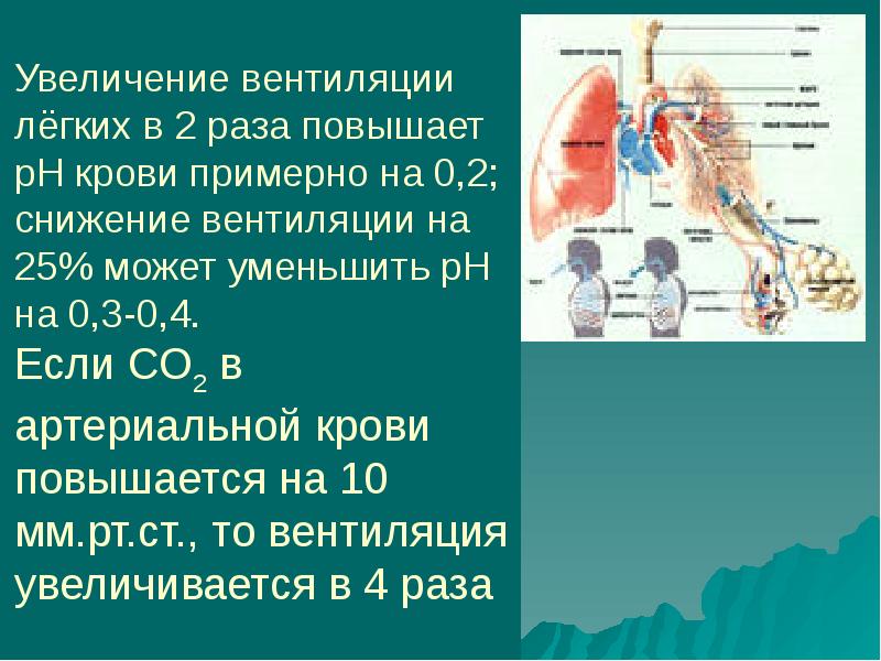 Легочная вентиляция составляет