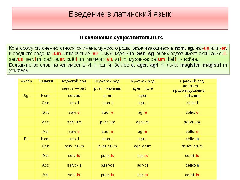 Склонения латынь. Склонение второго существительных в латинском языке.