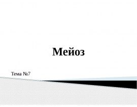 Мейоз