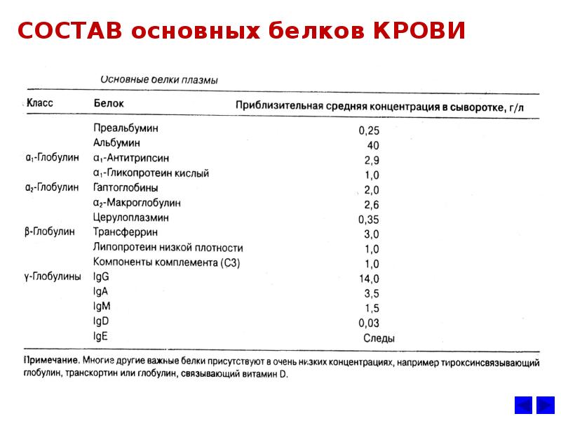 Концентрация белка