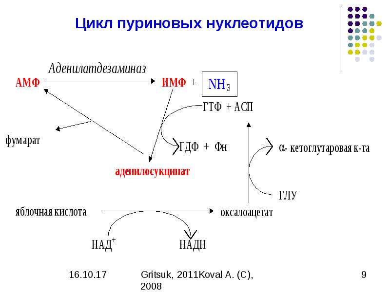 Презентация биохимия нервной системы